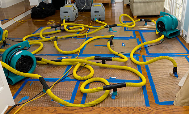 Professional Crawl Space Water Removal technician working in Galena Park, TX